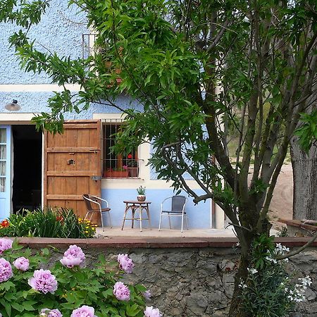 La Casanova De Beuda Villa Rom bilde